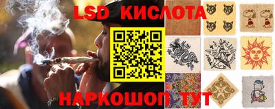 ешки Заводоуковск