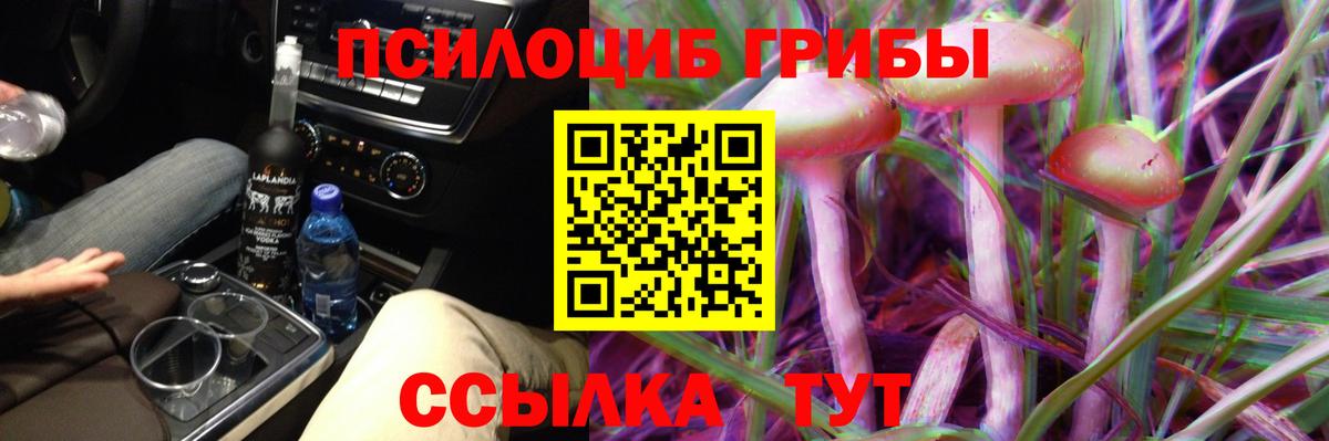 Псилоцибиновые грибы Psilocybine cubensis  Люберцы 